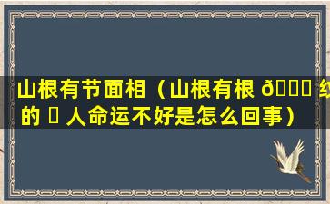 山根有节面相（山根有根 🐞 纹的 ☘ 人命运不好是怎么回事）